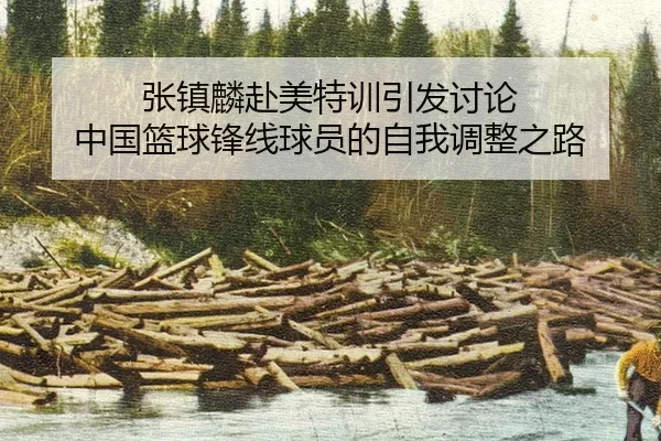 zhang-zhen-lin-fu-mei-te-xun-yin-fa-tao-lun-zhong-guo-lan-qiu-feng-xian-qiu-yuan-de-zi-wo-tiao-zheng-zhi-lu-2-418.jpg