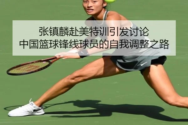 张镇麟赴美特训引发讨论 中国篮球锋线球员的自我调整之路